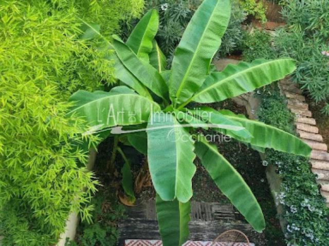 Maison avec jardin et terrasse