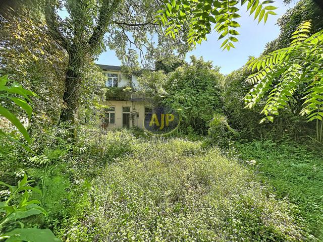 Maison 15 pièces 319 m²