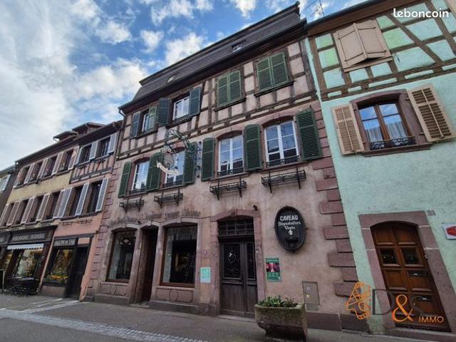 Maison 15 pièces 600 m²