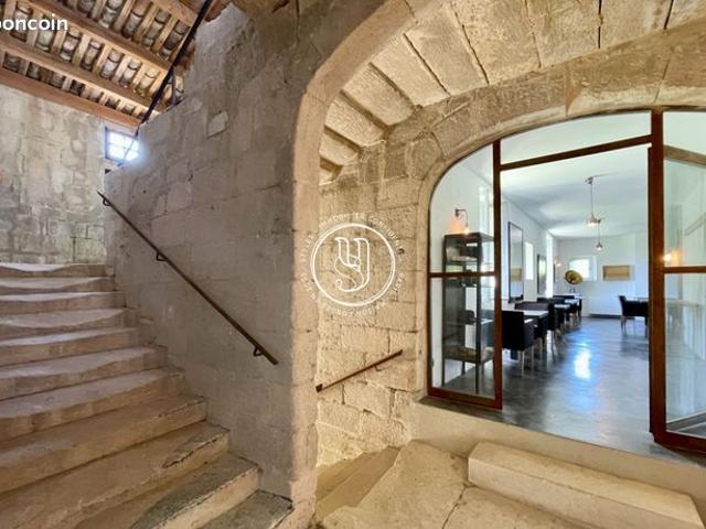 Maison 16 pièces 1000 m²