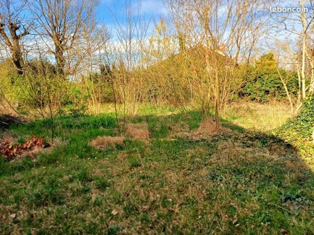 Maison 1 pièce 40 m²