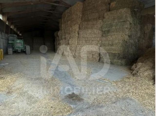 Maison 1 pièce 595 m²