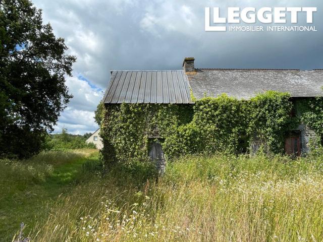 Maison 1 pièce