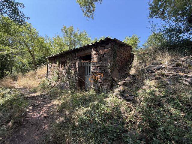 Maison 1 pièce 10 m²
