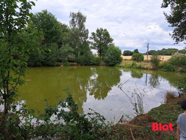 Maison 1 pièce 120 m²