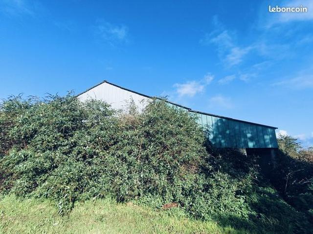 Maison 1 pièce 300 m²