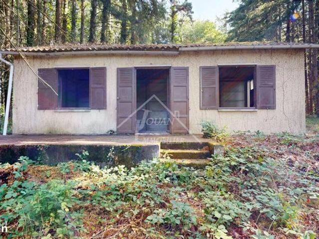 Maison 1 pièce 38 m²