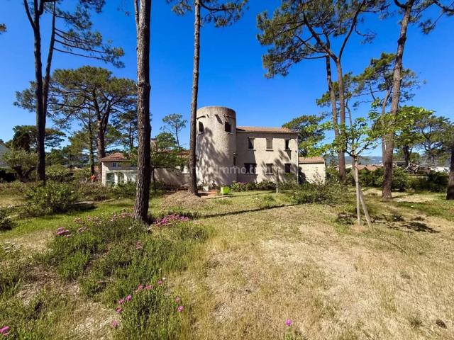 Maison 204 m2 Furiani