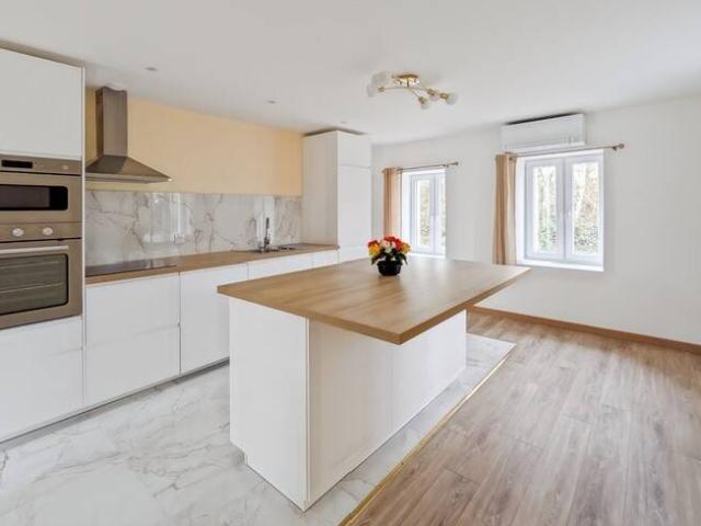 Maison 208 m2 Saint Paul en Chablais