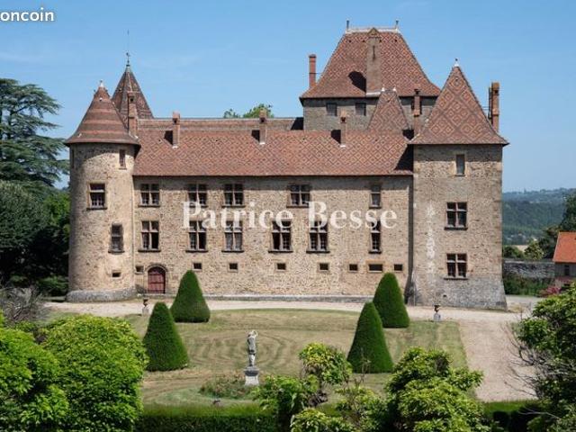 Maison 20 pièces 2 950 m²