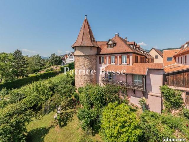 Maison 20 pièces 650 m²