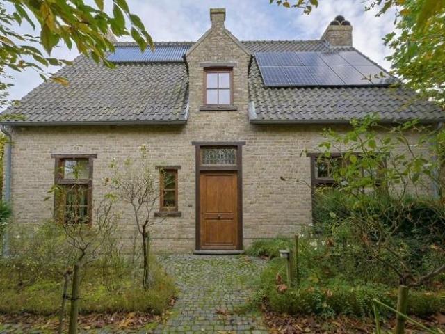 Maison 248 m² 4 Ch à vendre à Bogaarden