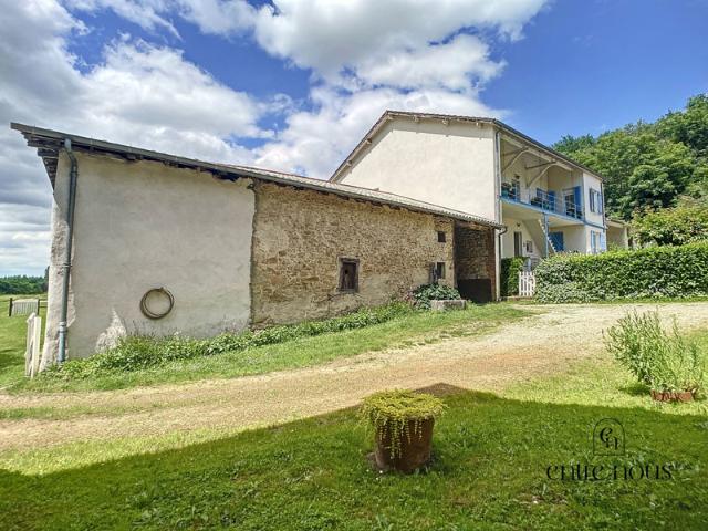 Maison à vendre à Eyzin Pinet de 254m2