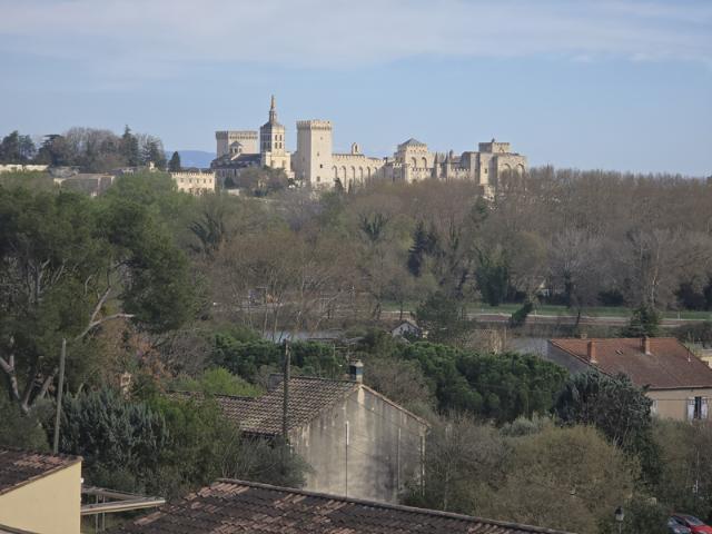 Maison 251 m2 à rénover Vue Palais des Papes, Villeneuve l