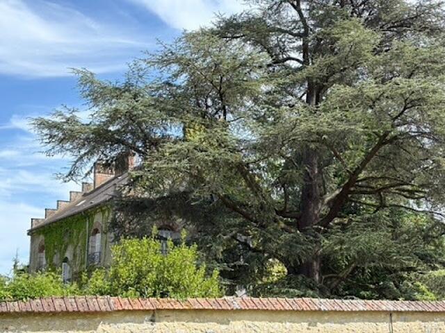 Maison avec jardin