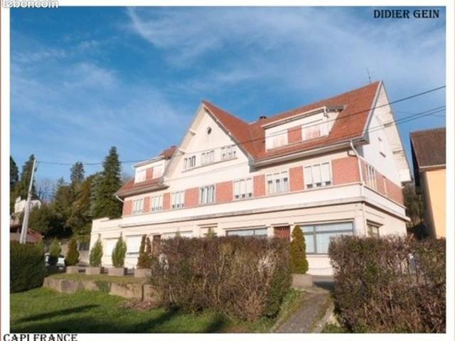 Maison 29 pièces 663 m²