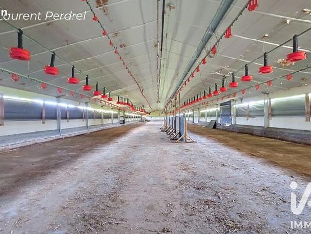 Maison 2 pièces 1300 m²