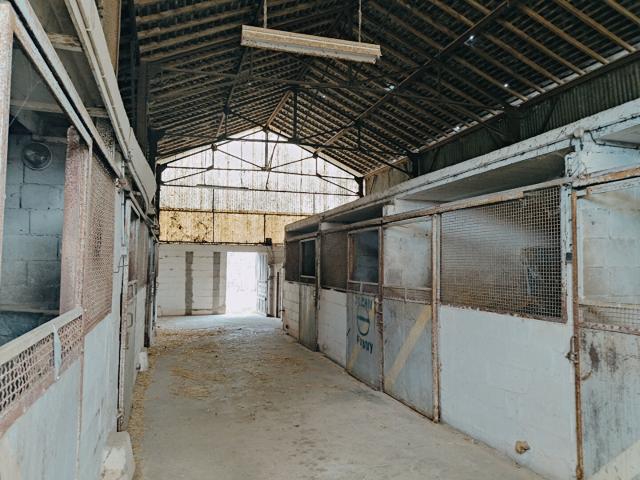 Maison 2 pièces 268 m²