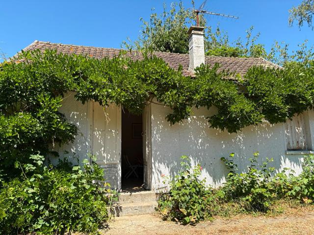 Maison 2 pièces 33 m²