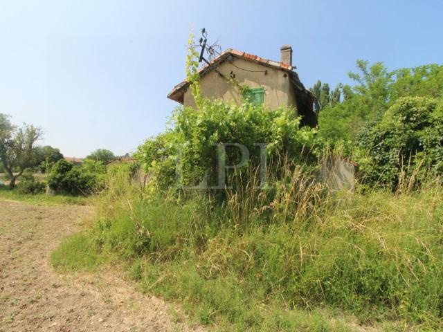 Maison 2 pièces 38 m²