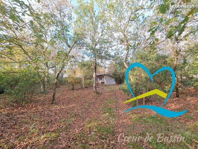 Maison 2 pièces 45 m²