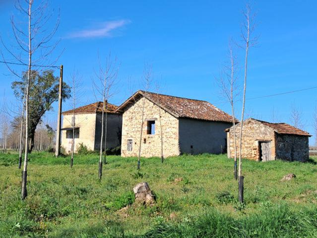 Maison 2 pièces 4 m²