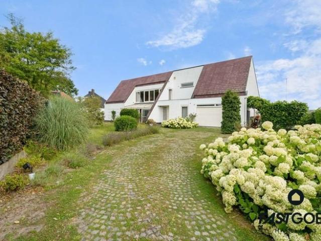 Maison 318 m² 5 Ch à vendre à Adegem