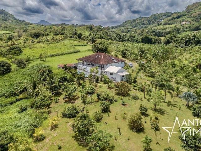 Maison 310 m2 Ducos