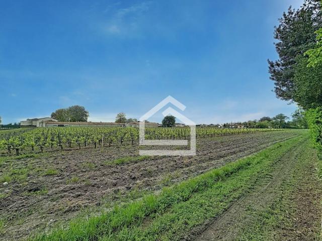 Maison 312 m2 Margaux Cantenac