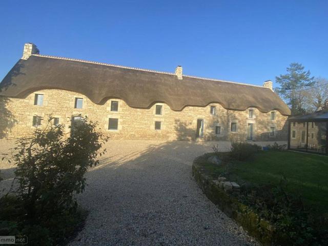Maison 331 m2 Languidic
