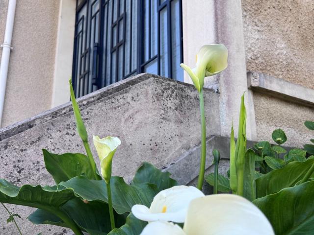 Maison 7 pièces 154 m²