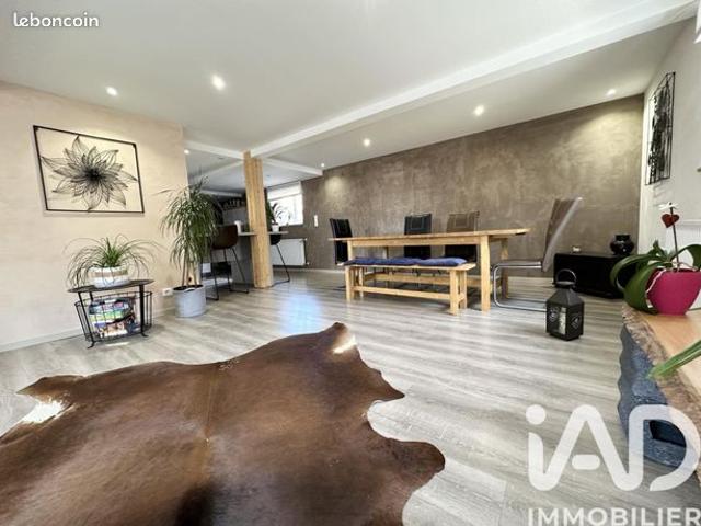 Maison 7 pièces 167 m²