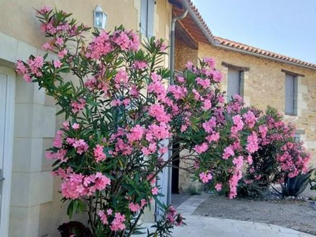 Maison 7 pièces 167 m²