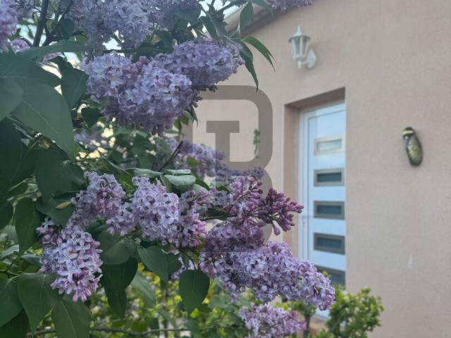 Maison 7 pièces 173 m²