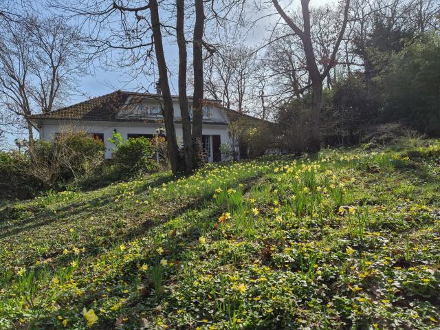 Maison 7 pièces 203 m²