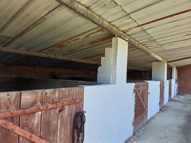 Maison 7 pièces 220 m²