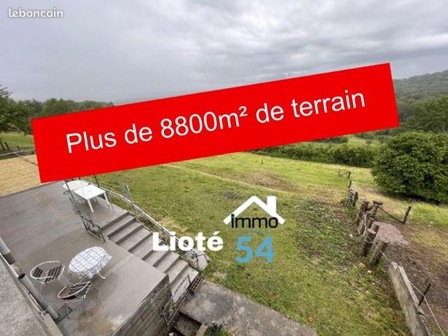 Maison 7 pièces 234 m²