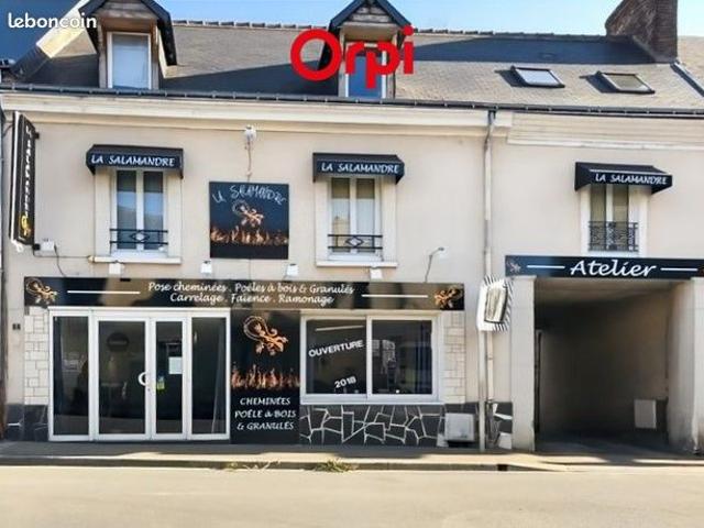 Maison 7 pièces 239 m²