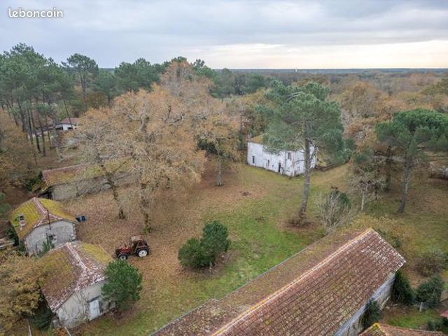 Maison 7 pièces 233 m²