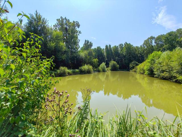 Maison 7 pièces 264 m²