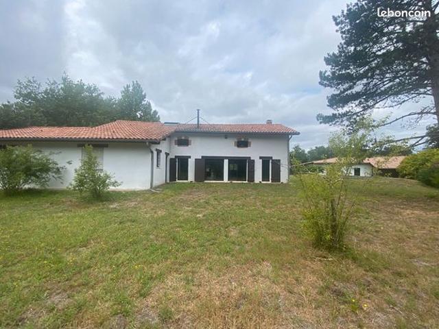 Maison 7 pièces 264 m²