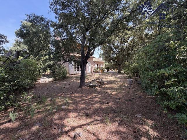 Maison 7 pièces 276 m²