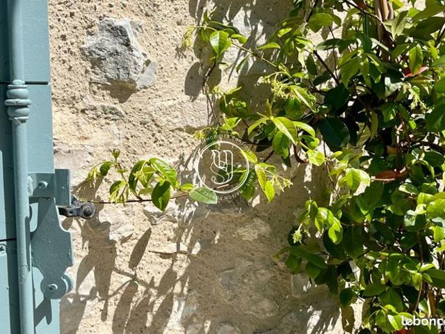 Maison 7 pièces 280 m²