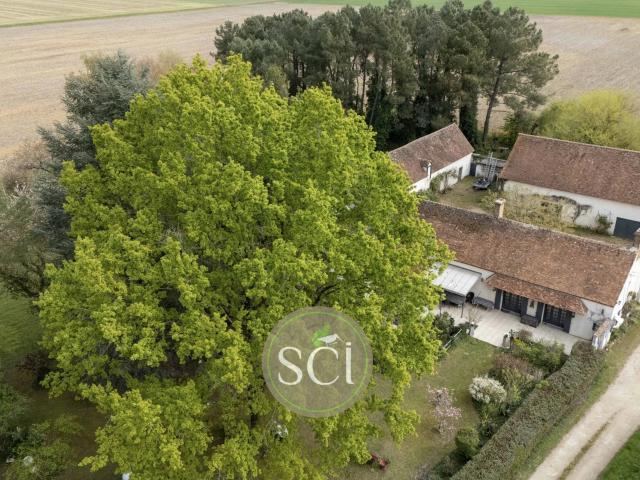 Maison 7 pièces 283 m²