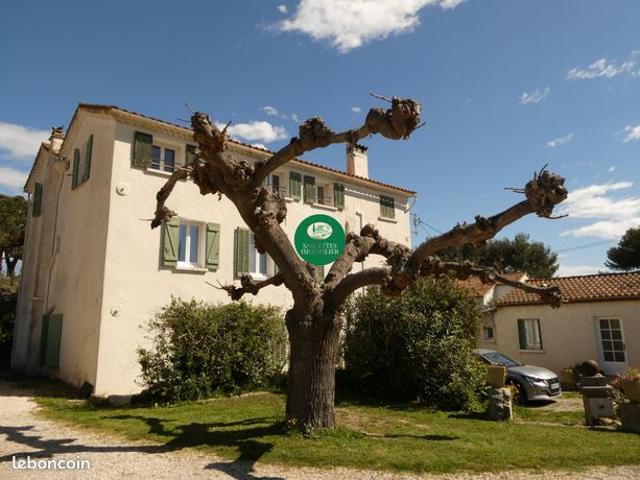 Maison 7 pièces 300 m²