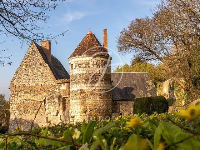 Maison 400 m2 Bonneveau