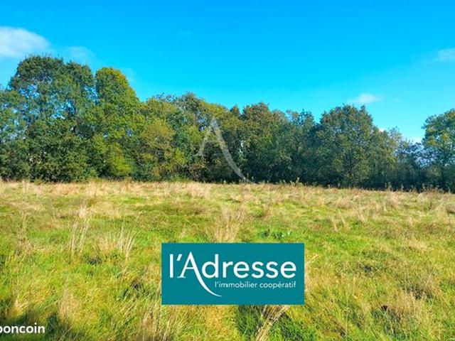 Maison 430 m² GERBEVILLER