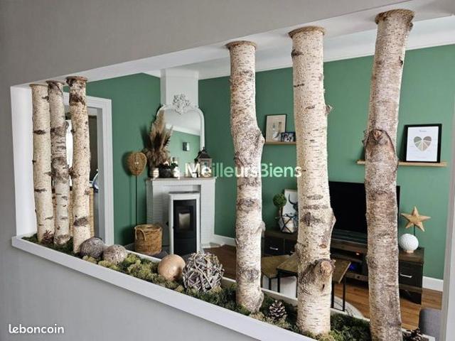 Maison 4 pièces 101 m²
