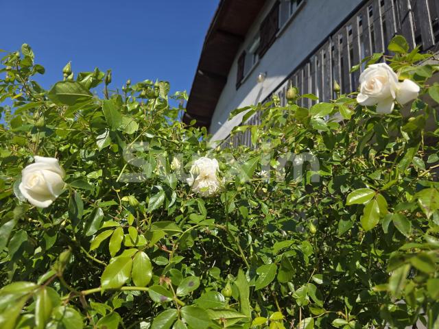Maison 4 pièces 118 m²