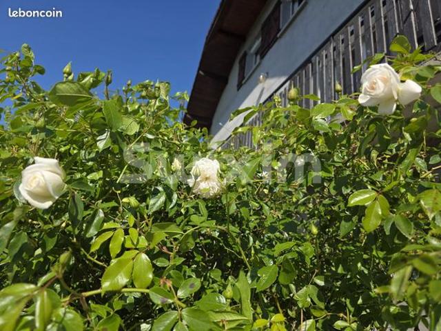 Maison 4 pièces 118 m²